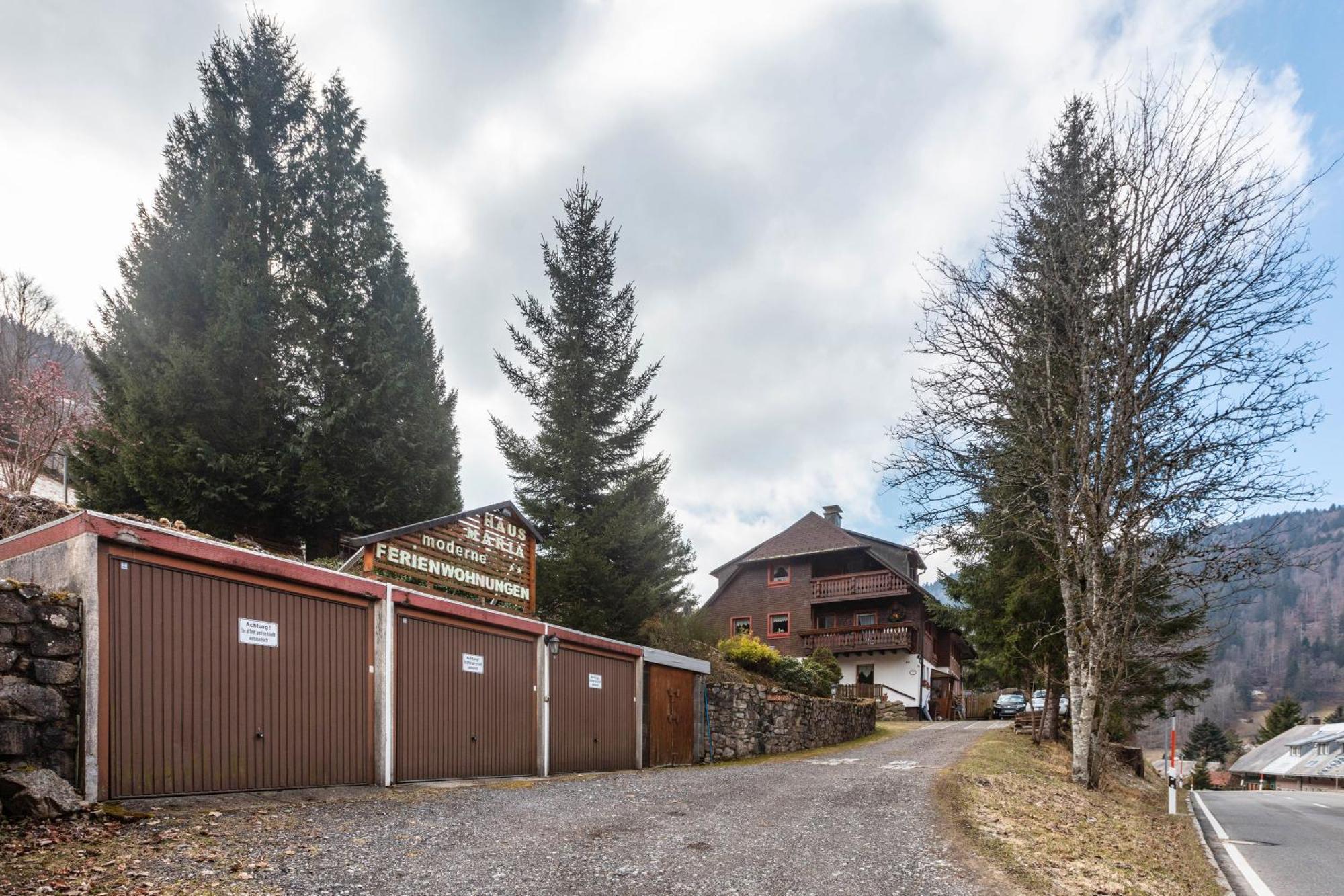 Haus Maria Apartment Todtnau Exterior photo